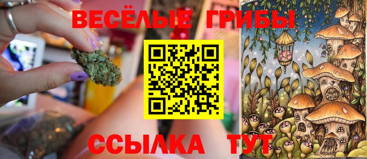 Якутск  Галлюциногенные грибы Psilocybine cubensis  Вход с VPN 