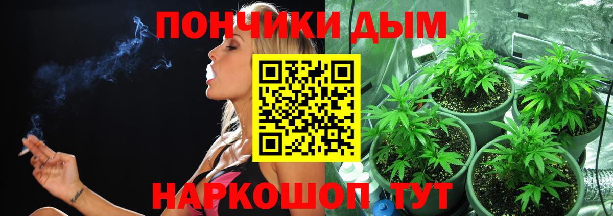 Шишки марихуана планчик Якутск
